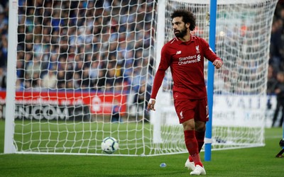 乐竞动态-保姆球