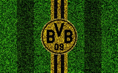 乐竞评论-科克赛后鼓励年轻队友